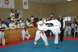 Ashihara Karate 20th Annual
