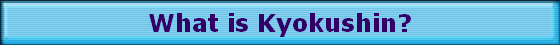 What is Kyokushin?